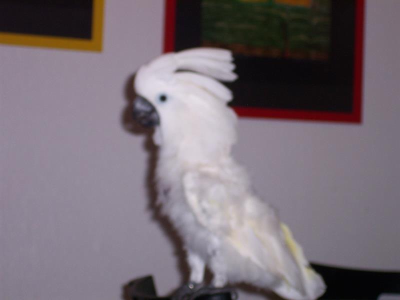 100_0709_ana