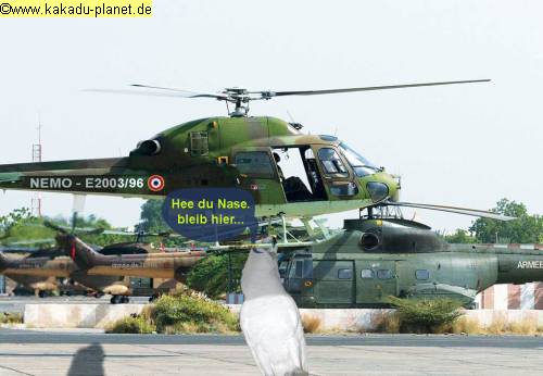 nemo_hubschrauber_KP