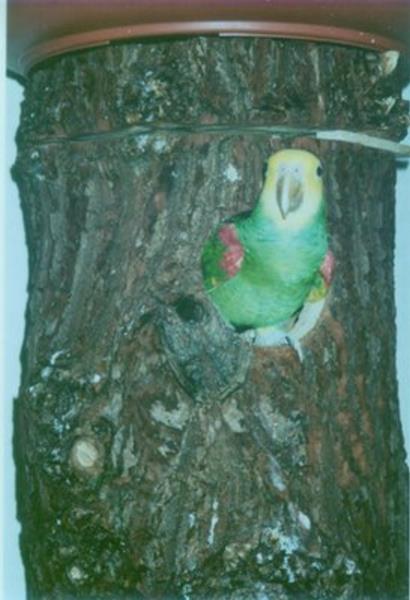 wohnungsbesichtigung010_ana